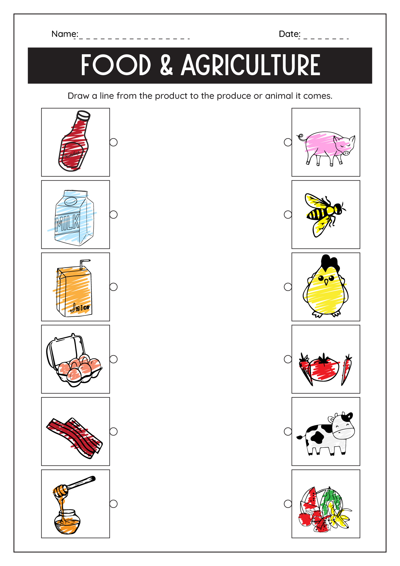 12 Food Production Worksheet Template Free PDF At Worksheeto