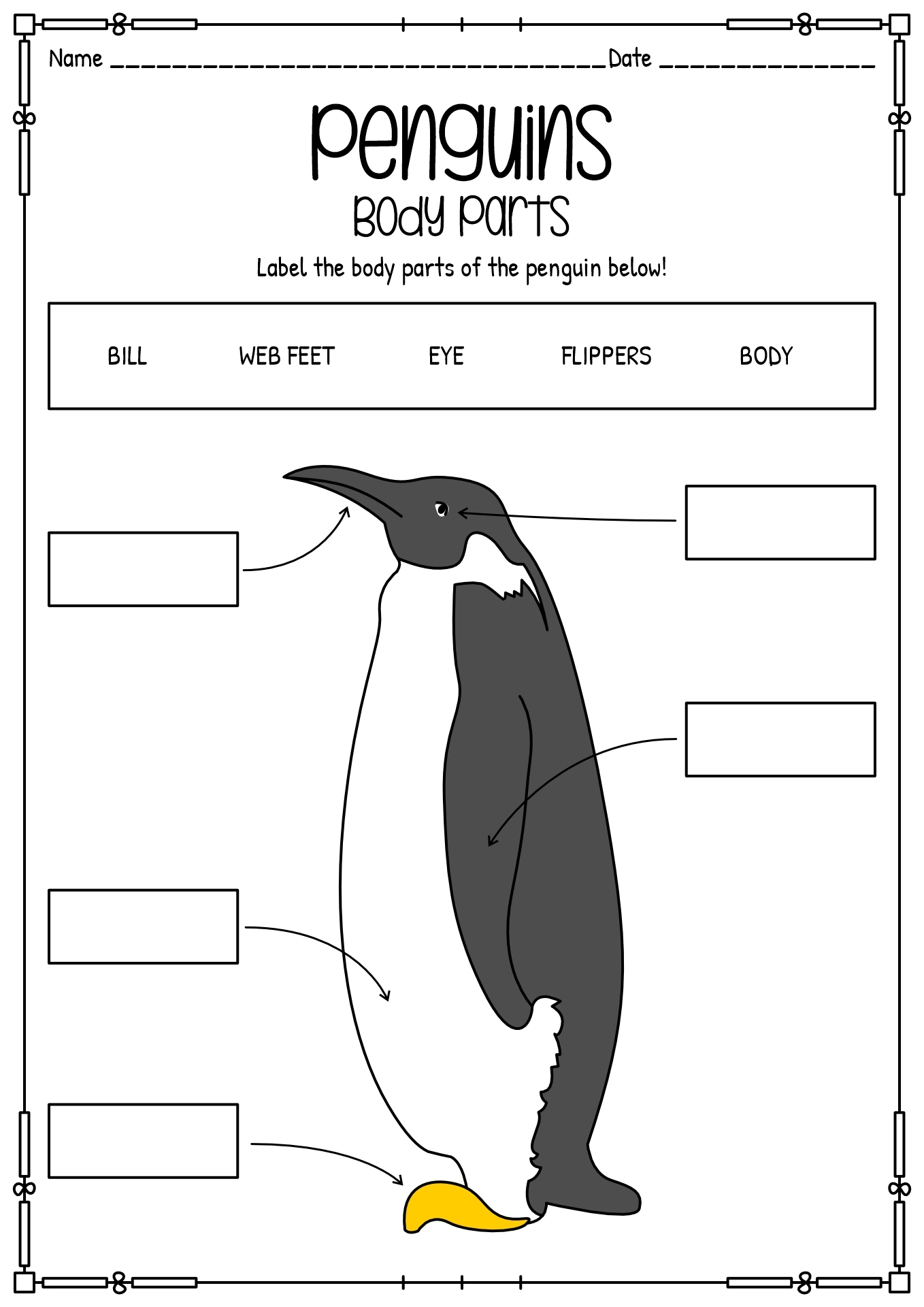 13 Penguin Preschool Worksheets Free PDF At Worksheeto