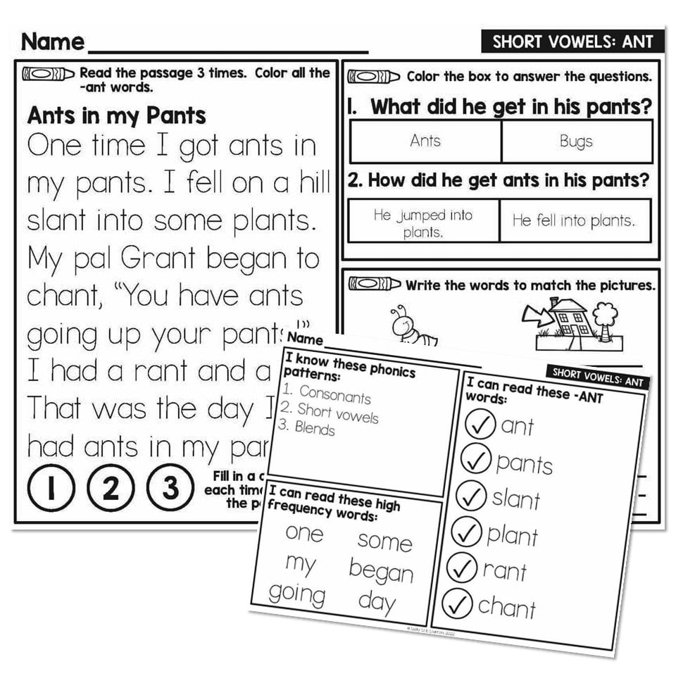 1st Grade Decodable Phonics Passage Short Vowels ANT Lucky Little Learners