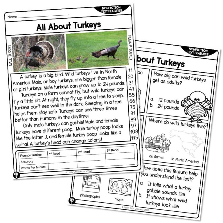 1st Grade Nonfiction Text Features Reading Passage All About 