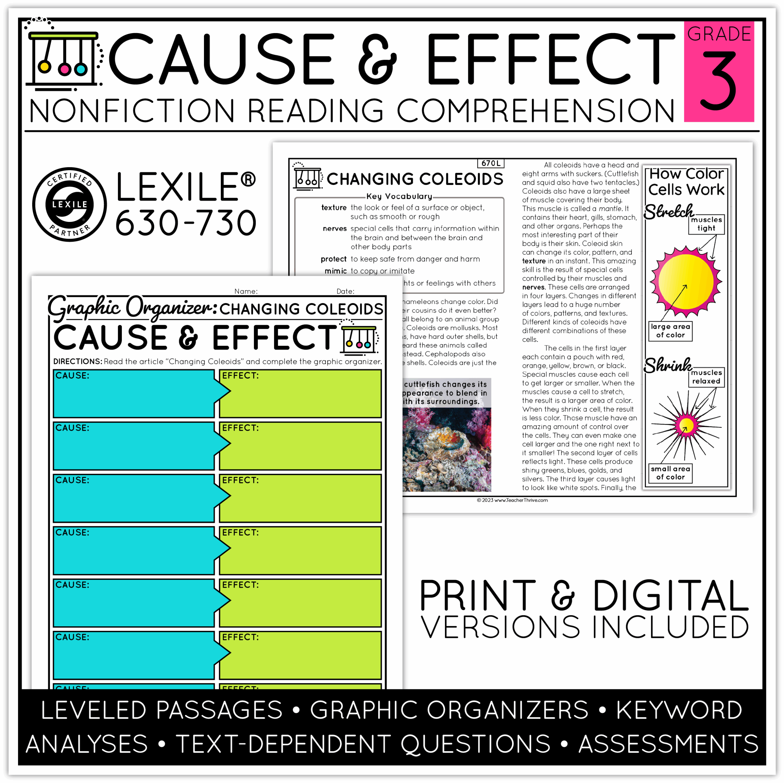 3rd Grade Cause And Effect Nonfiction Text Structure Reading Comprehension Worksheets Library