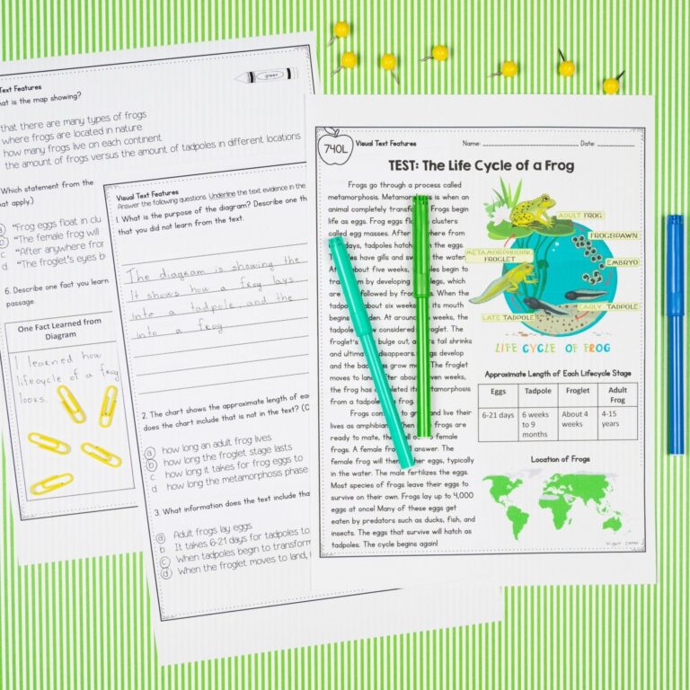 4th Grade Florida BEST Standards ELA Reading Comprehension Bundle FL B E S T 