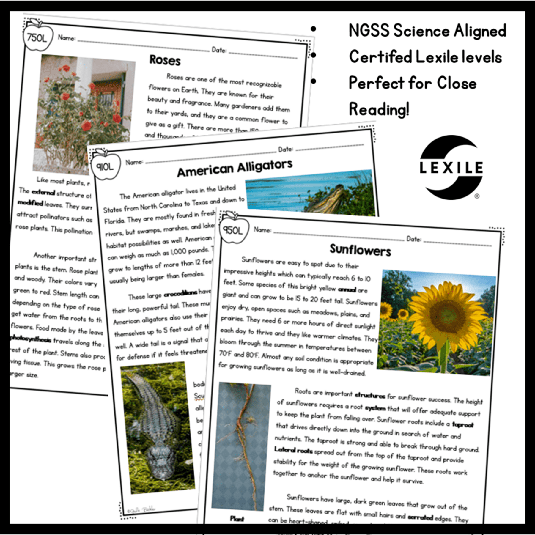4th Grade NGSS Differentiated Science Passages GROWING Bundle