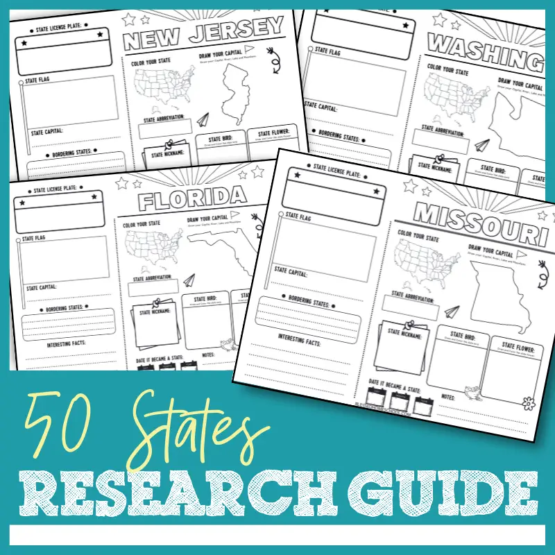 50 States Printable Worksheets Free