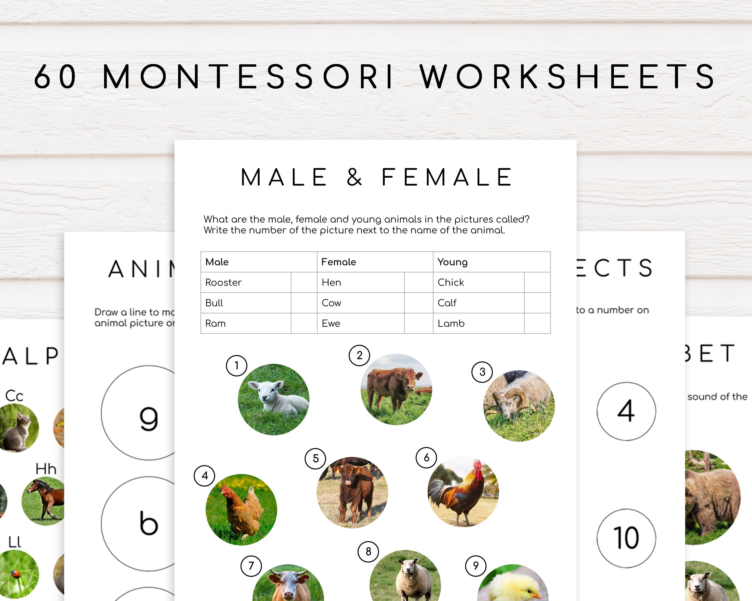 60 Montessori Worksheets Ages 3 6 Preschool Pre k And 