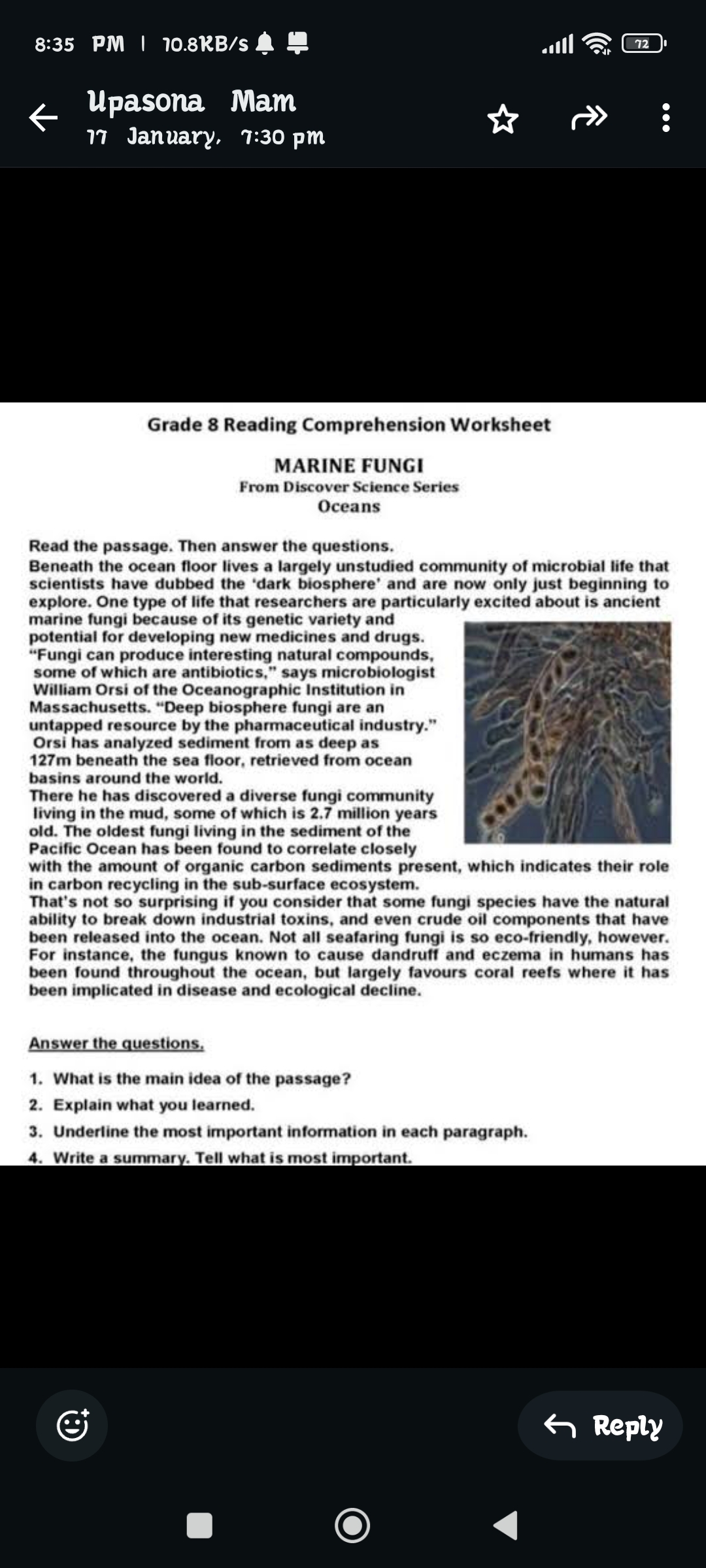 Fungi Reading Comprehension Worksheet