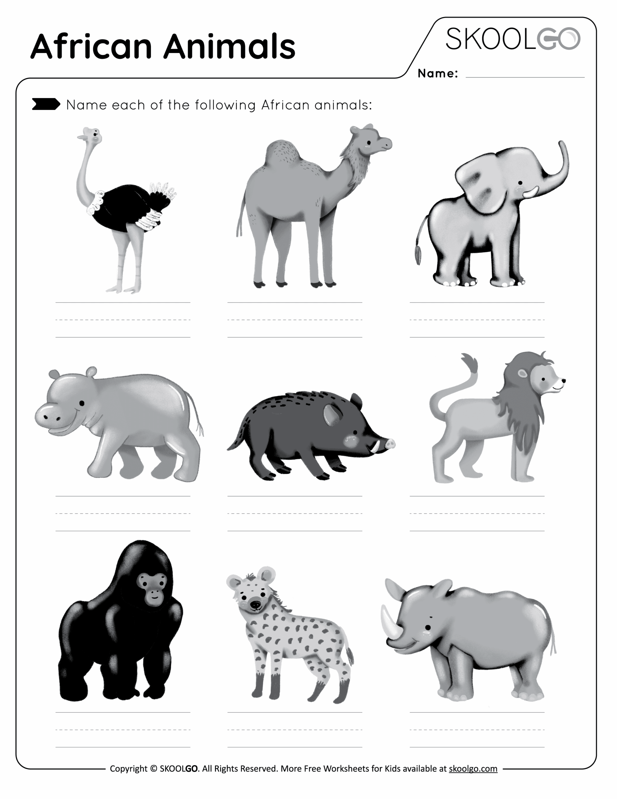 Free Printable African Rainforest Worksheets
