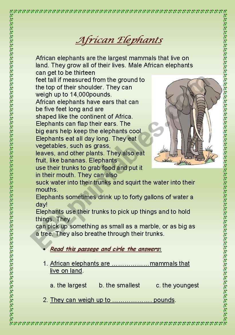 African Elephants ESL Worksheet By Emy H