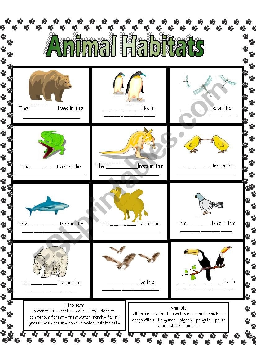 Animal Habitats ESL Worksheet By Anna P