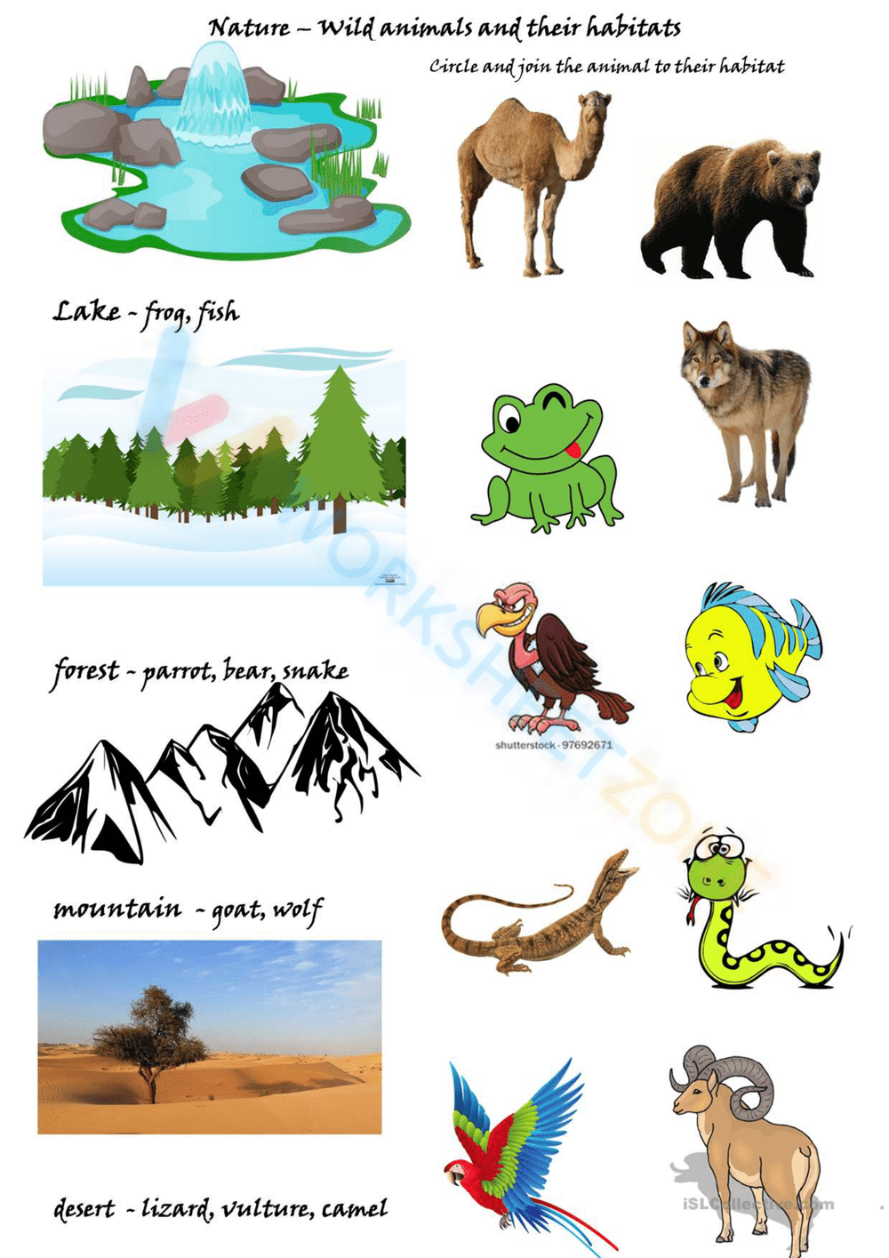 Animal Habitats Worksheets 2025