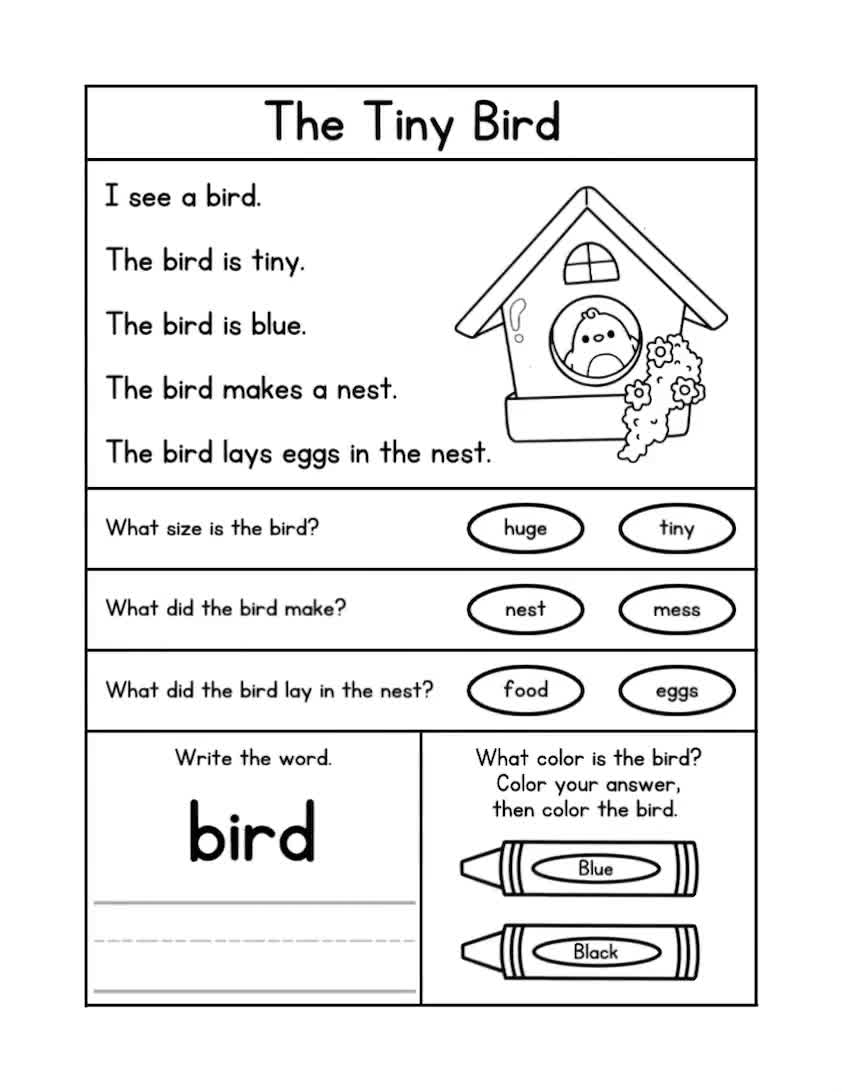 ANIMAL Reading Comprehension Worksheets Kindergarten Reading Reading Passages With Questions First Grade Reading Second Grade Reading