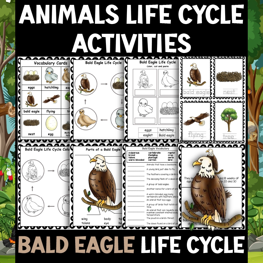 Bald Eagle Reading Comprehension Worksheets