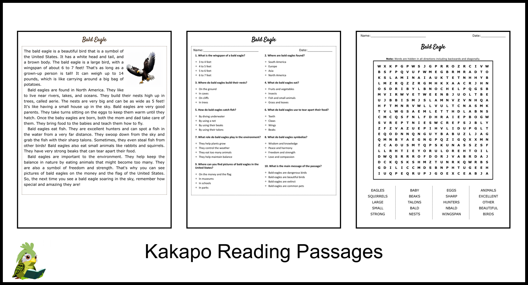 Bald Eagle Reading Comprehension And Word Search Teaching Resources
