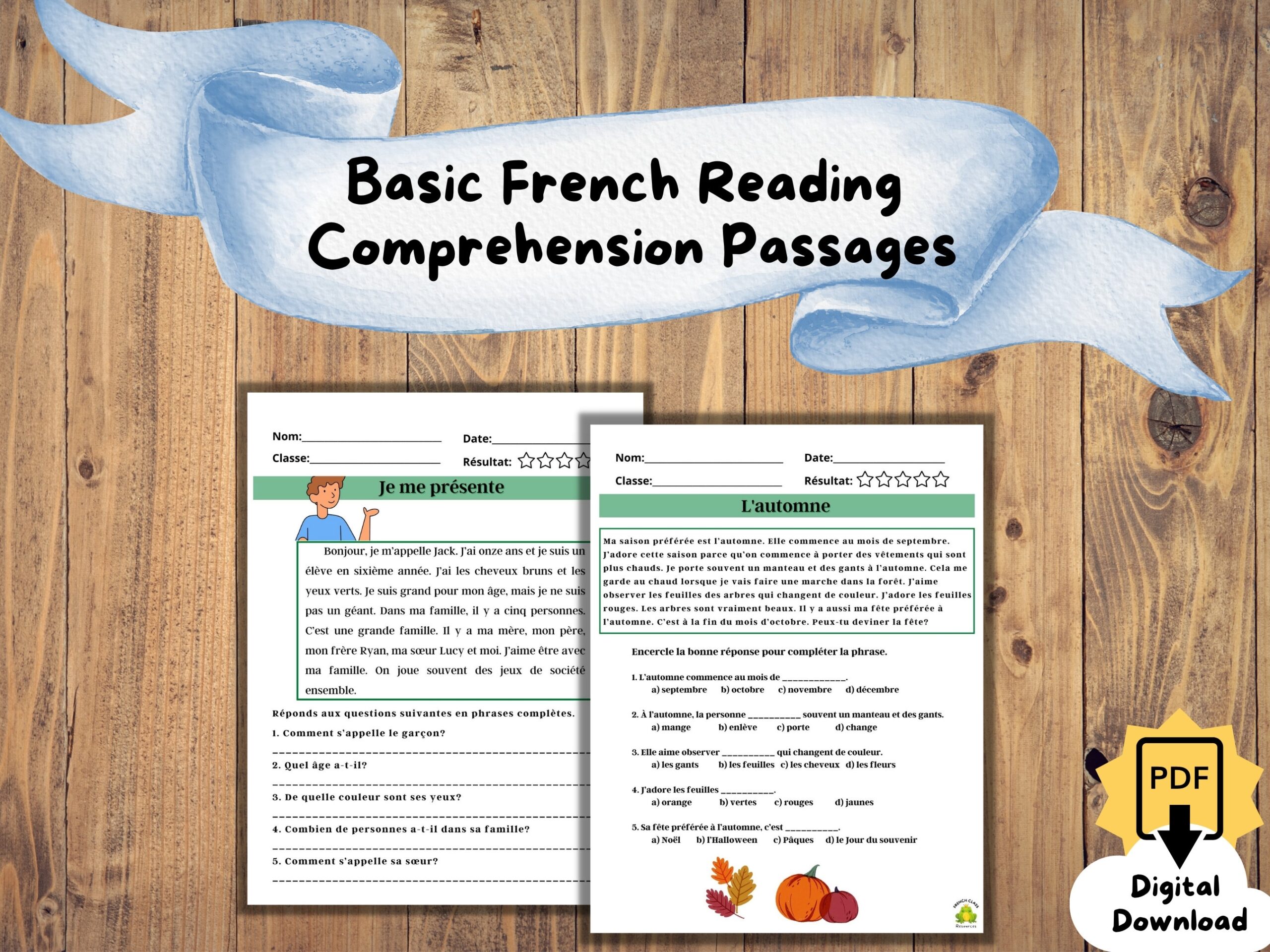French Reading Comprehension Worksheets Pdf Free