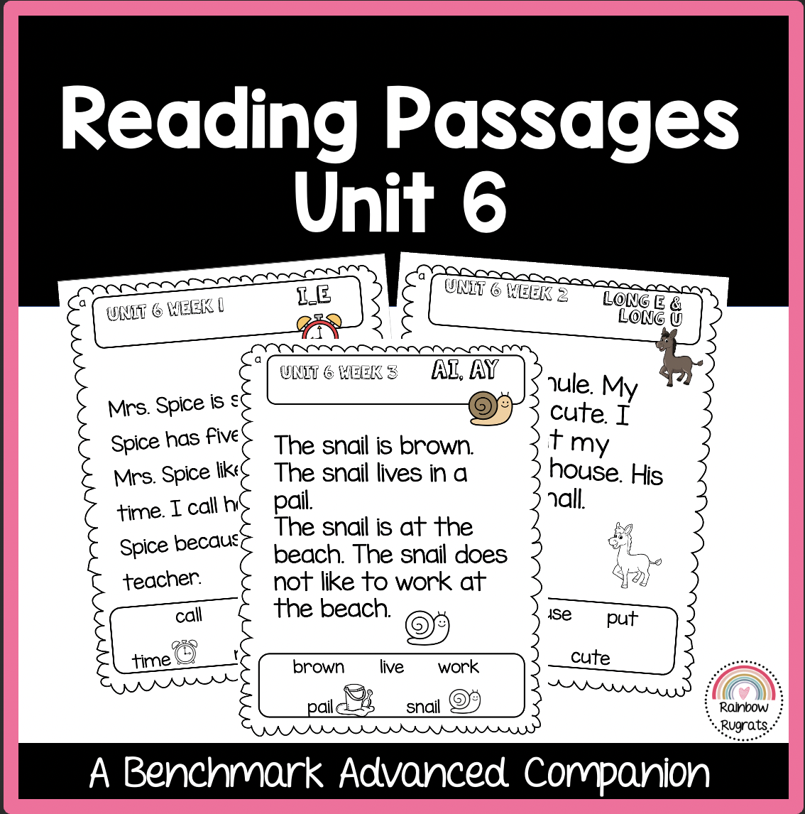 6th Grade Advanced Reading Comprehension Worksheets