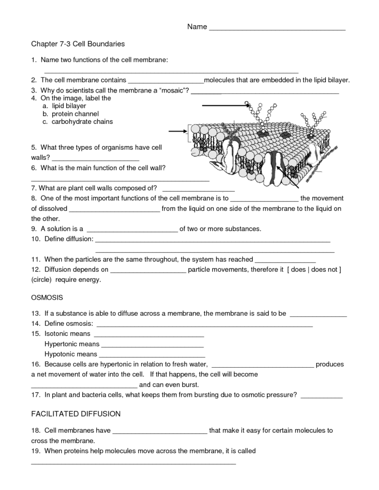 Biology Cell Worksheets Biology Worksheet Cell Biology Cells Worksheets Library