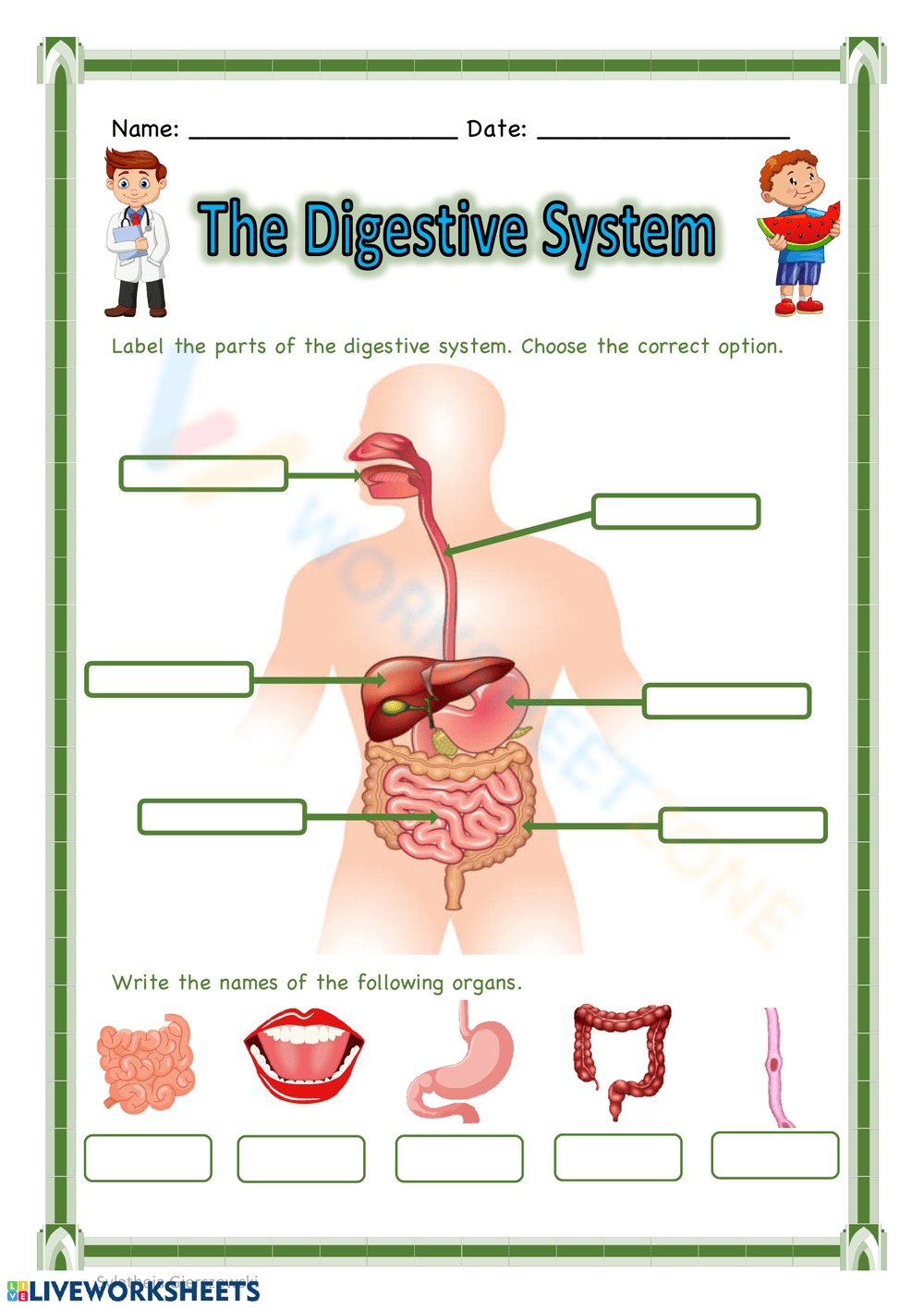 Biology Worksheets 2025