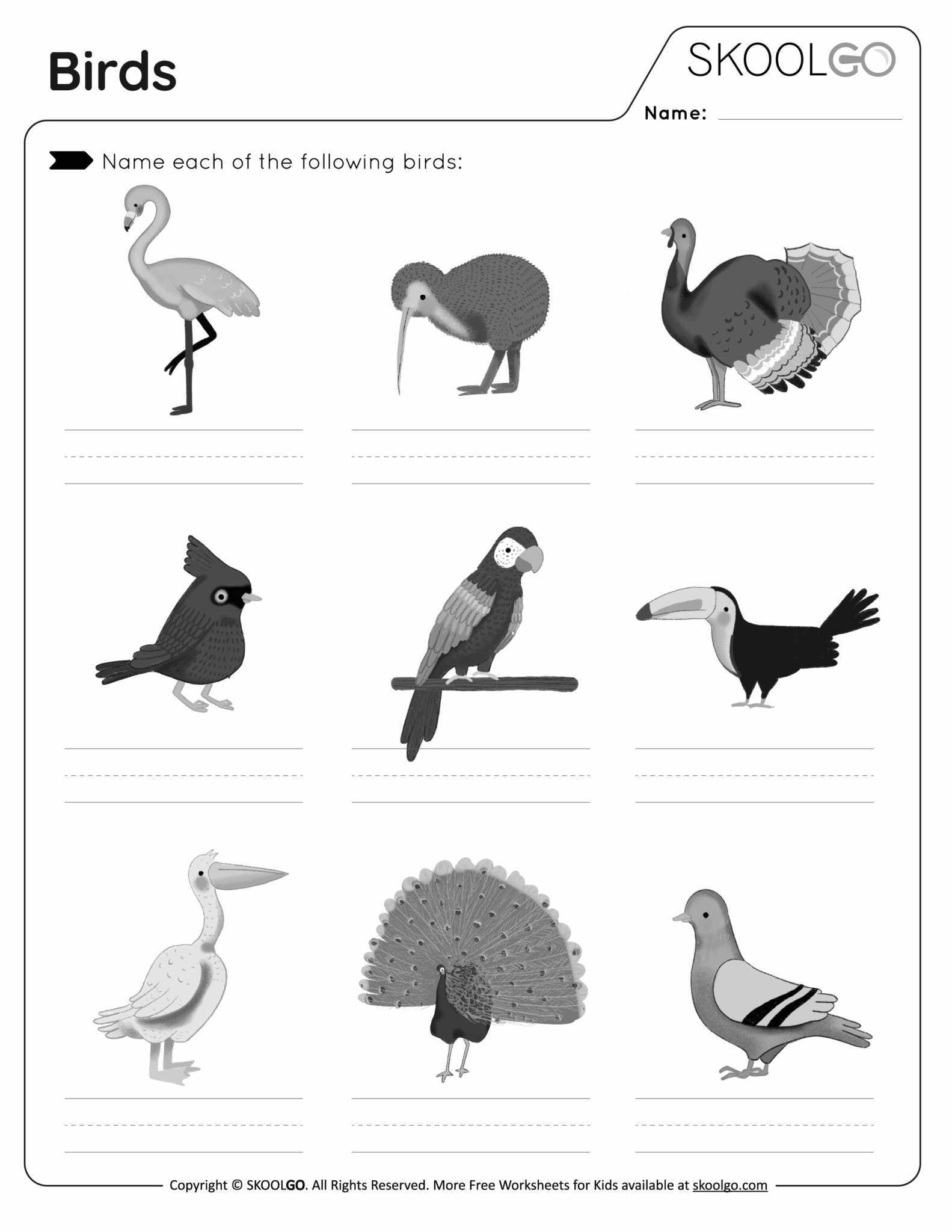 Free Printable Bird Worksheets For Preschoolers Free Printable Worksheets