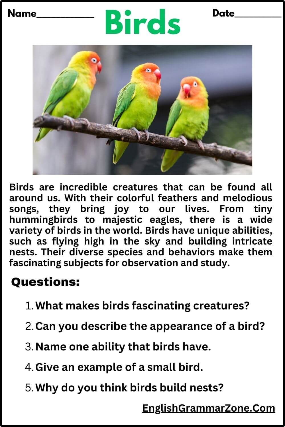 Birds Reading Comprehension Worksheet For Grade 2