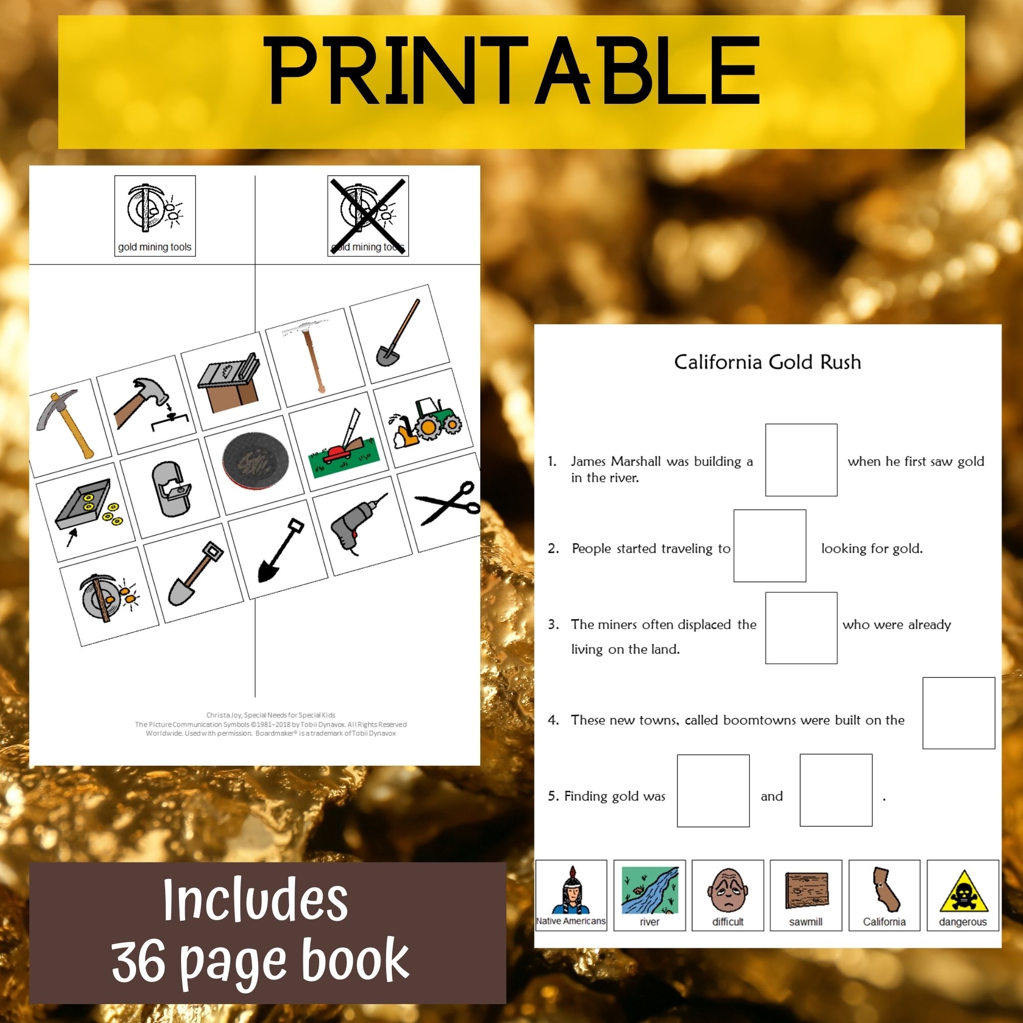 California Gold Rush Unit For Special Education PRINT AND DIGITAL Special Needs For Special Kids