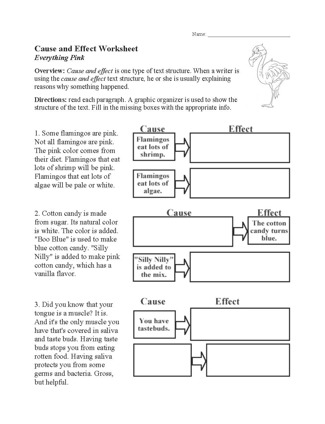 Cause And Effect Worksheet Text Structure Activity