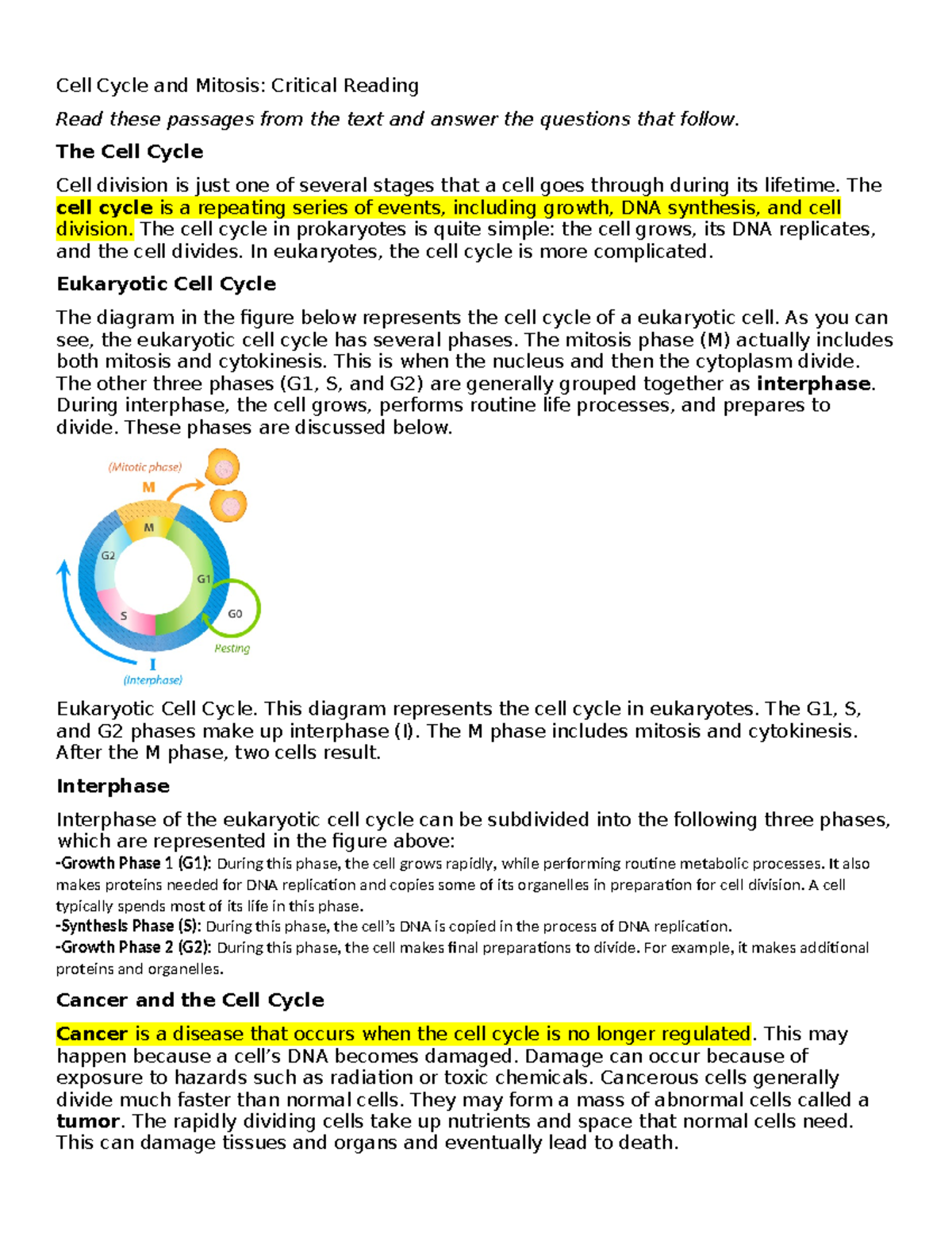 Cell Cycle And Mitosis Reading Cell Cycle And Mitosis Critical Reading Read These Passages From Studocu