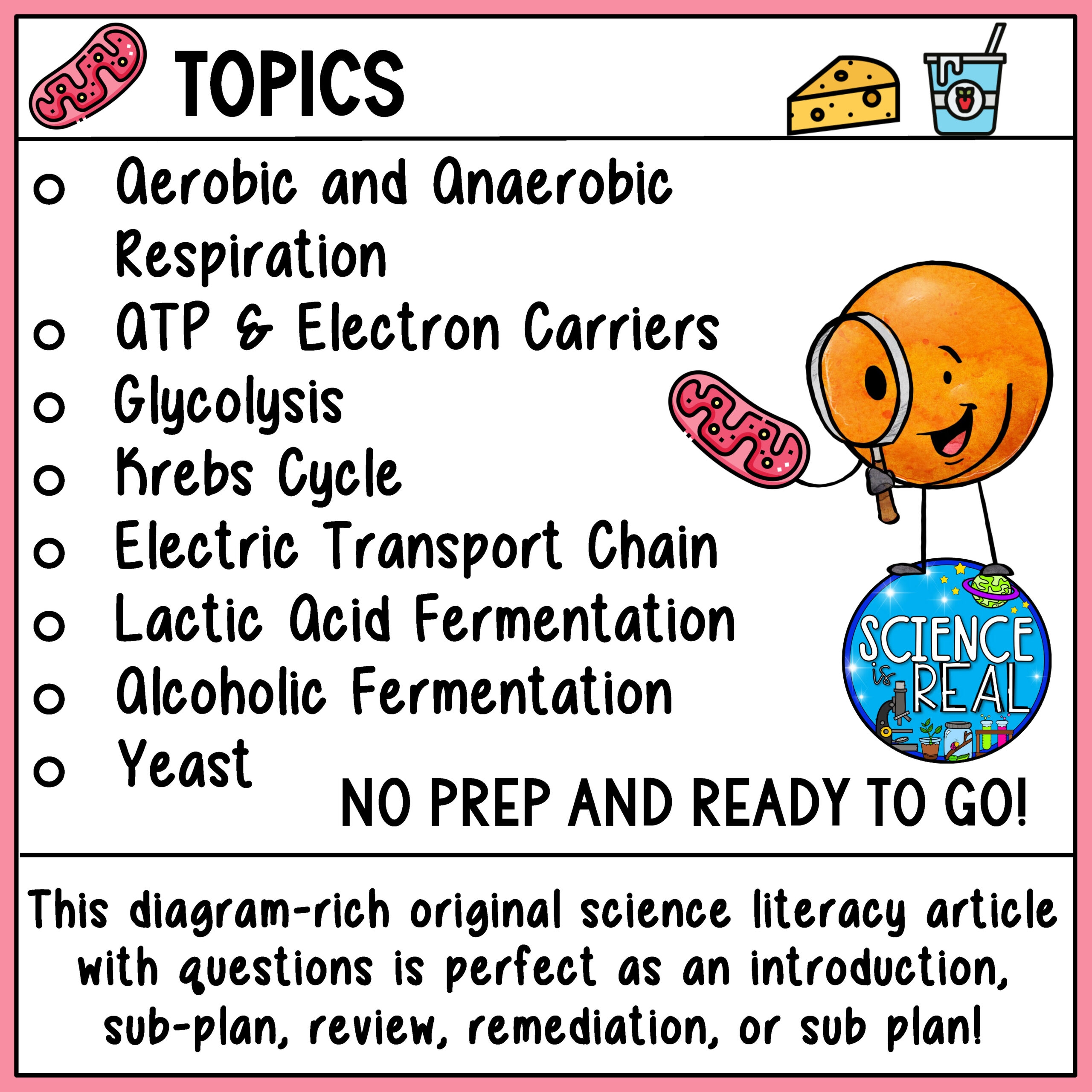 Cell Respiration Reading Comprehension And Questions Classful