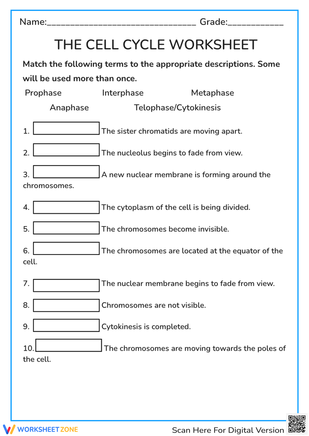 Cell Cycle Reading Comprehension Worksheet