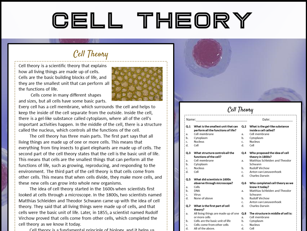 Cell Theory Reading Comprehension Passage And Questions PDF Teaching Resources