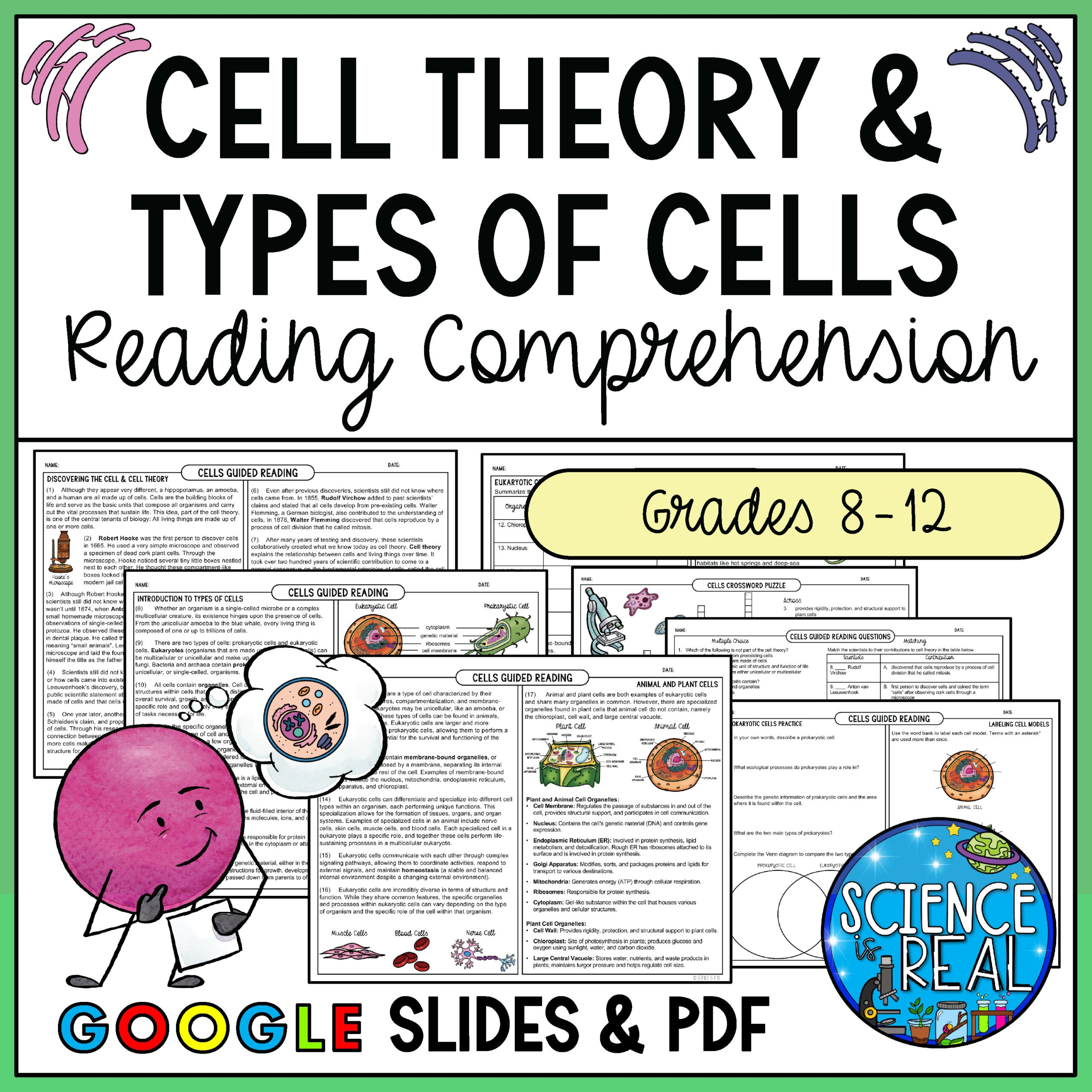 Cells Reading Comprehension Cell Theory Types Of Cells And 