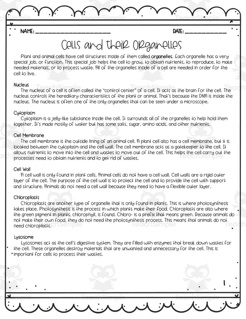 Cells Their Organelles Reading Activity