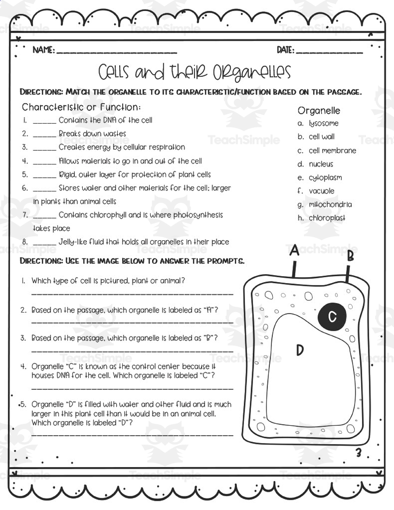 Cells Their Organelles Reading Activity