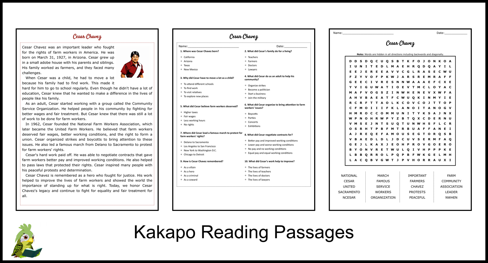 Cesar Chavez Reading Comprehension Worksheets