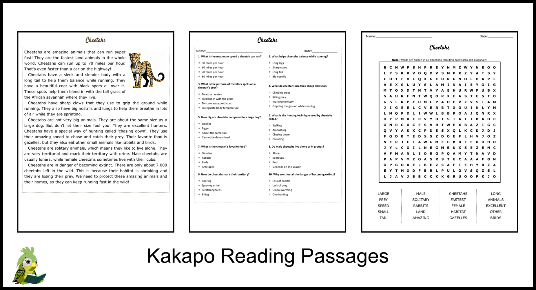 Cheetahs Reading Comprehension And Word Search Teaching Resources