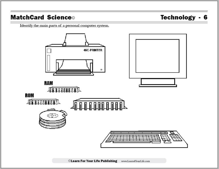 Computer Worksheet