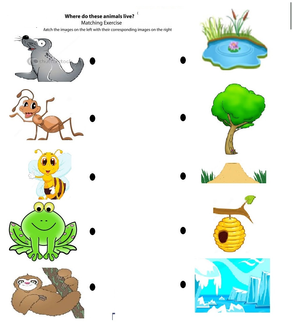 Free Printable Worksheets Animal Habitats