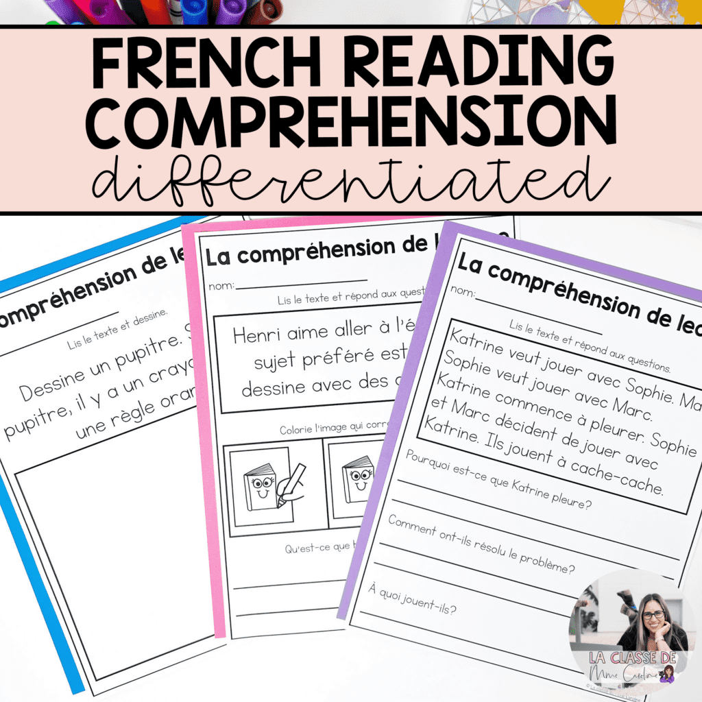 French Reading Comprehension Worksheets For Beginners