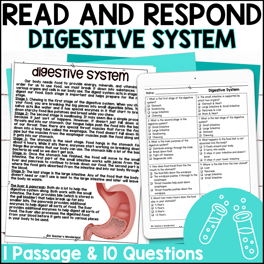 Digestive System Reading Comprehension U0026 Quiz Digital Or Paper Science Centers A Teacher s Wonderland