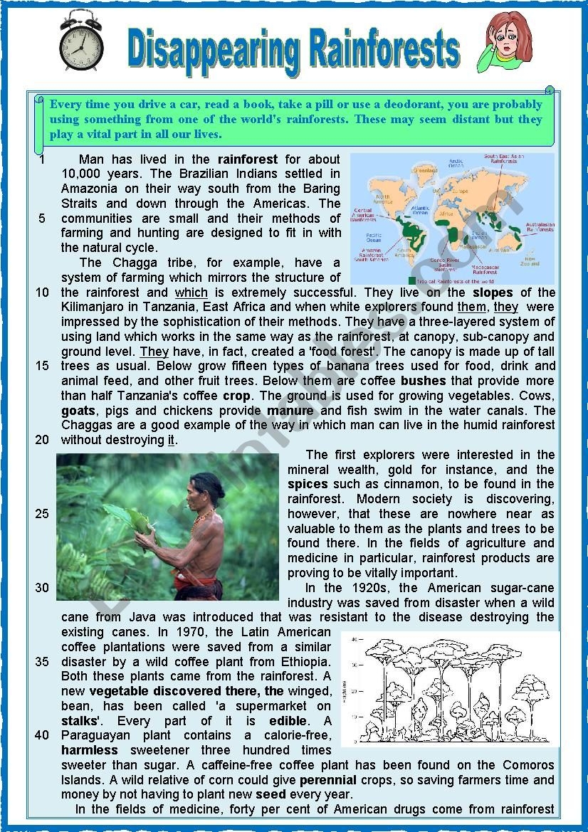 DISAPPEARING RAINFOREST Reading Varied Comprehension Ex Key 
