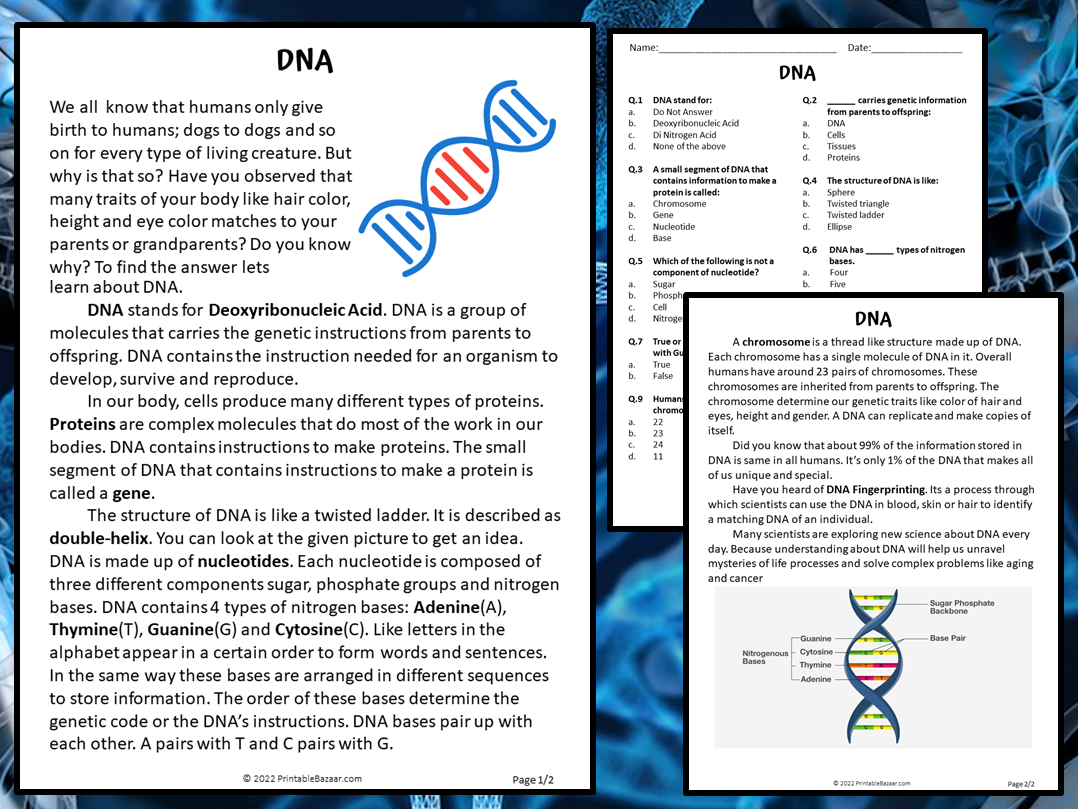 DNA Reading Comprehension Passage And Questions PDF Teaching Resources