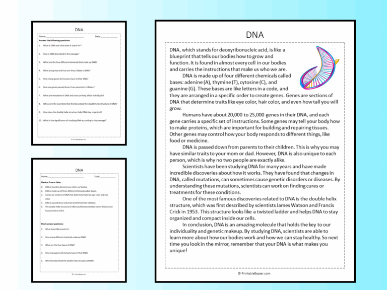 DNA Reading Comprehension Passage Printable Worksheet Teaching Resources