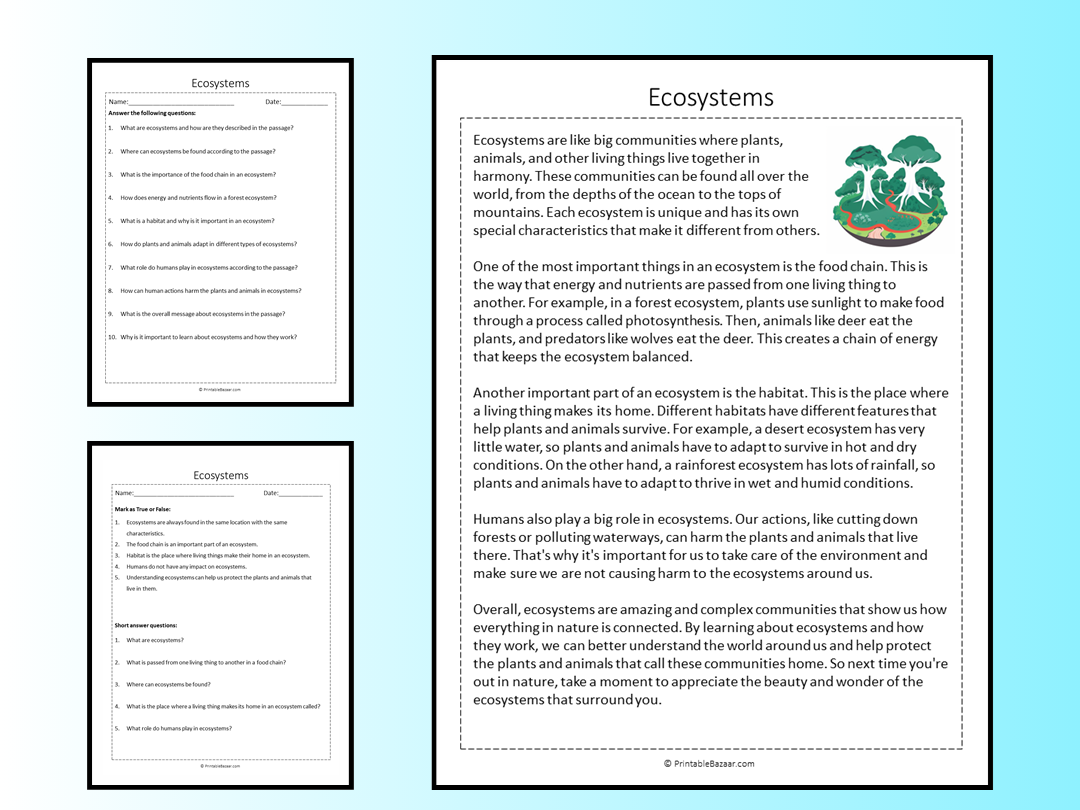 Ecosystems Reading Comprehension Passage Printable Worksheet 