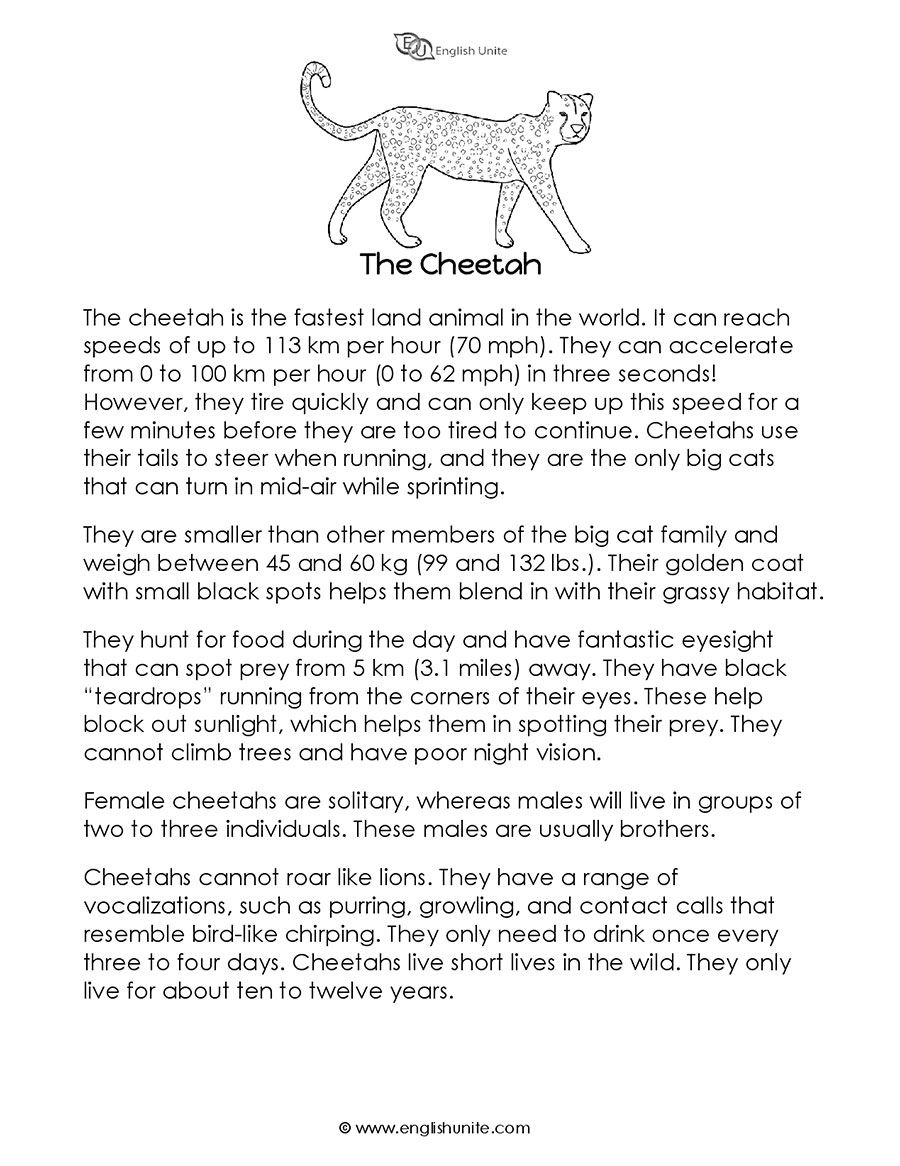 English Unite Short Story The Cheetah