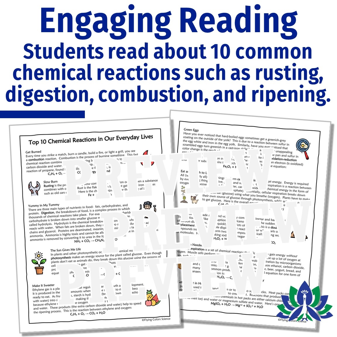 Everyday Chemical Reactions Reading And Worksheet Flying Colors Science