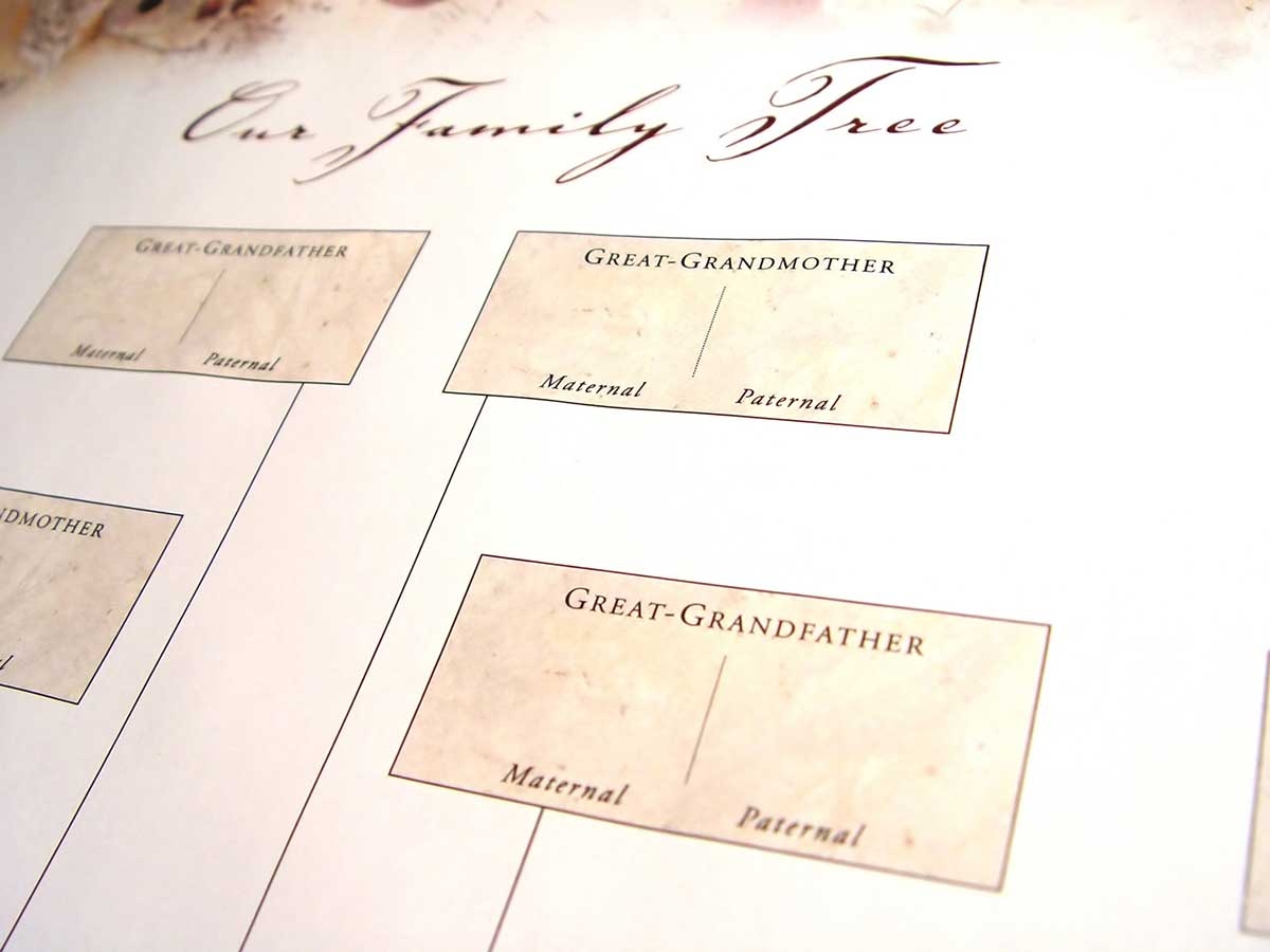 Free Printable Genealogy Forms Individual Worksheet