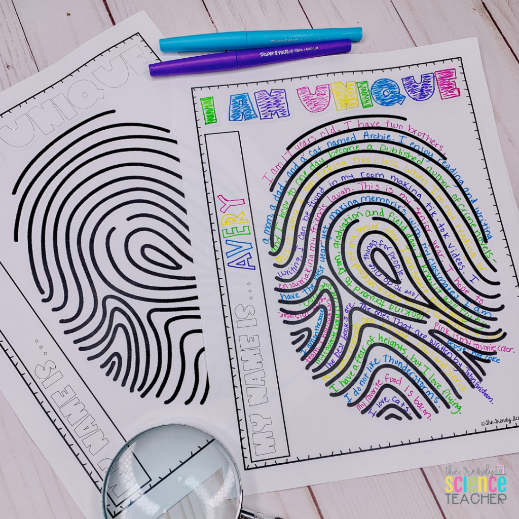 Forensics Activities For The First Days Of School The Trendy Worksheets Library
