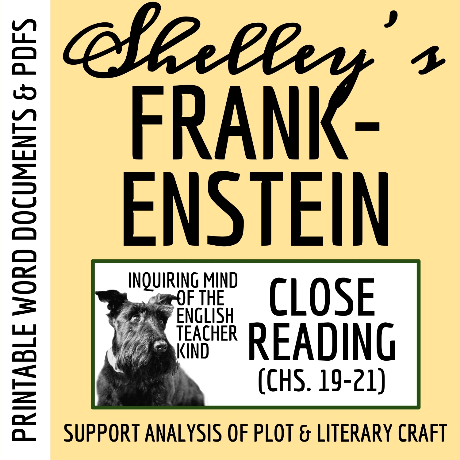 Frankenstein Reading Comprehension Worksheet