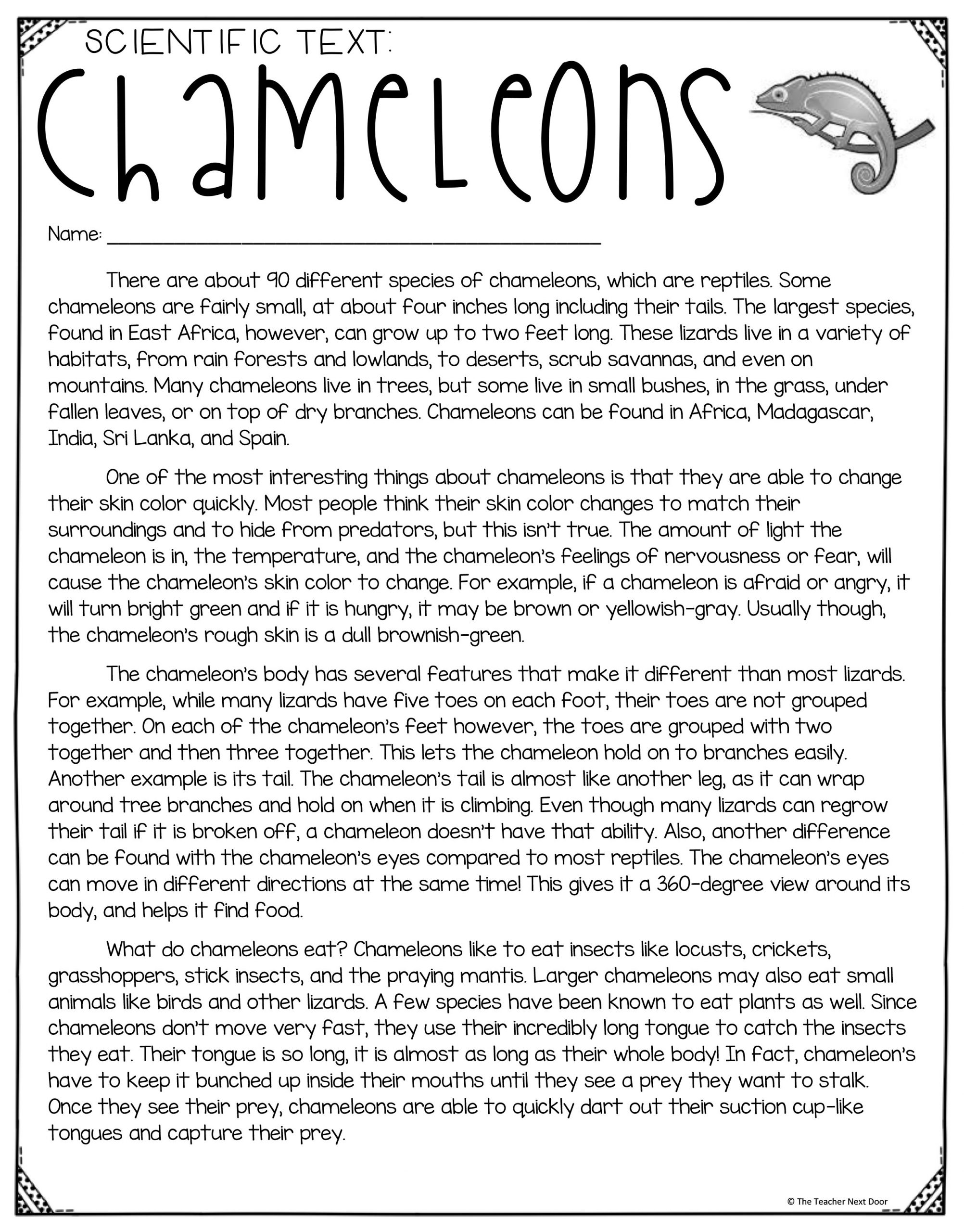 FREE Close Reading Using Informational Text For 3rd Grade The Teacher Next Door
