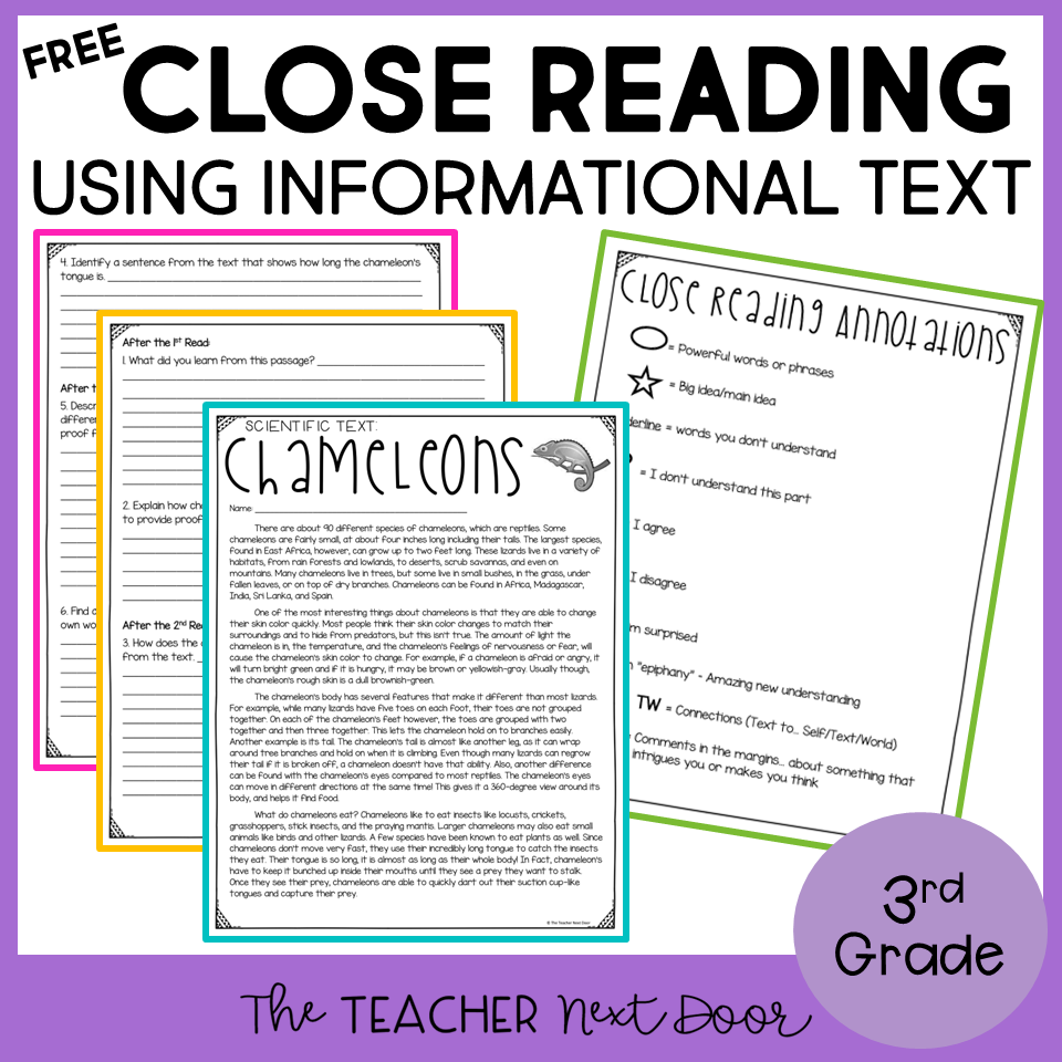 3rd Grade Nonfiction Reading Comprehension Worksheets