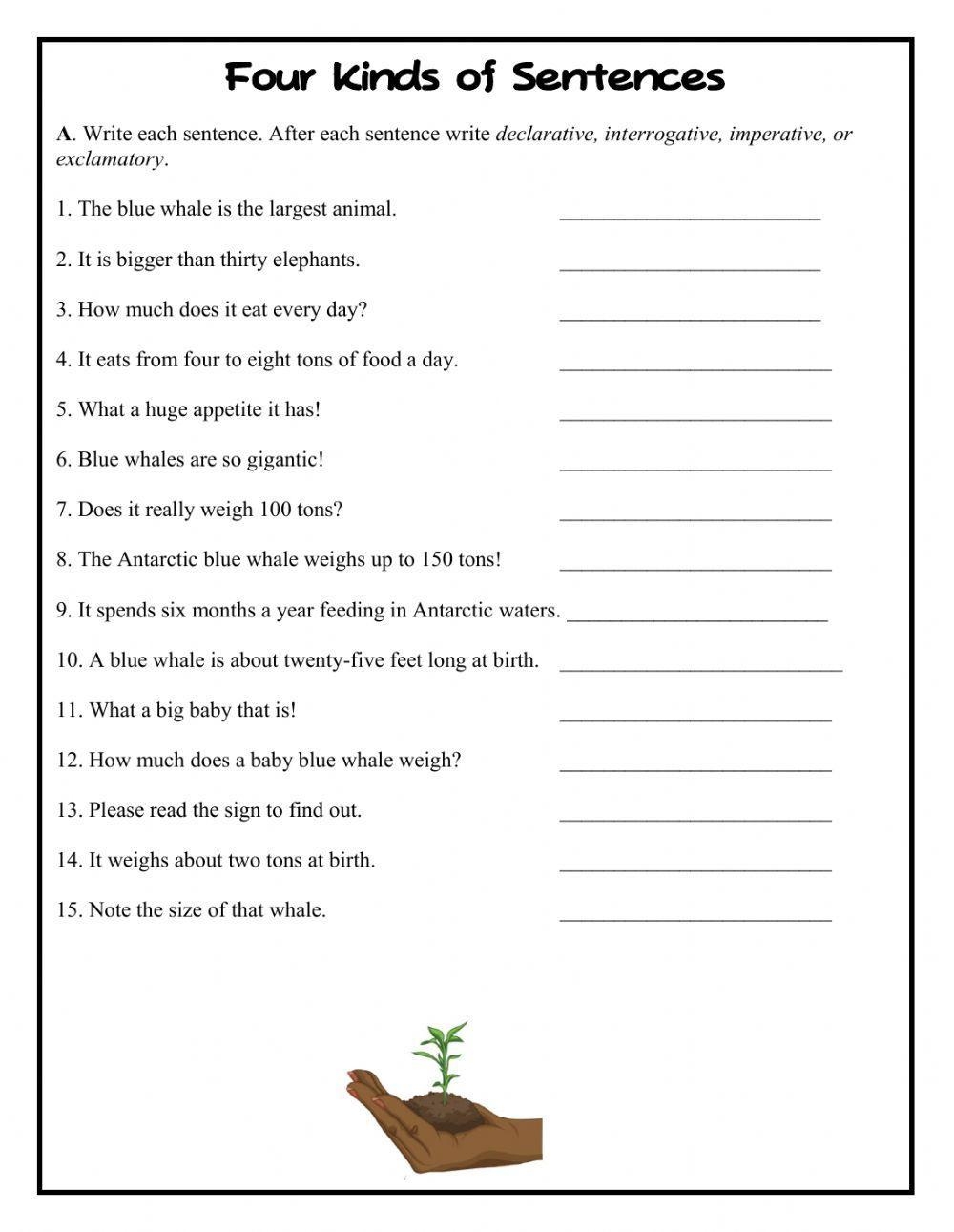 Free Four Types Of Sentences Worksheet Download Free Four Types Of Sentences Worksheet Png Images Free Worksheets On Clipart Library